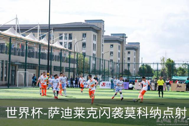 世界杯-萨迪莱克闪袭莫科纳点射 捷克痛失好局1-1南非