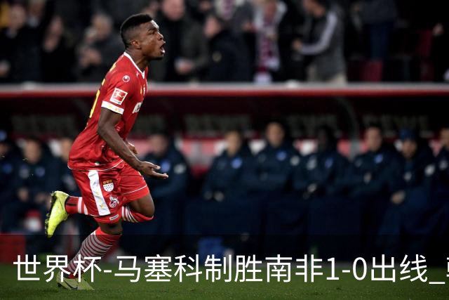 世界杯-马塞科制胜南非1-0出线 韩国积3分获小组第三待定