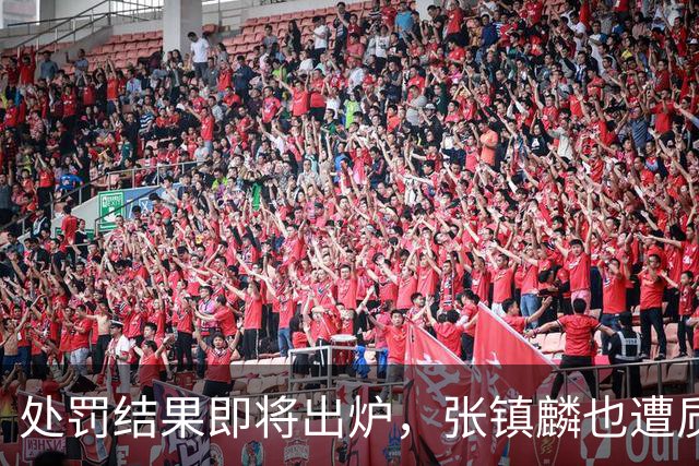 处罚结果即将出炉，张镇麟也遭质疑，大量球迷呼吁取消上海队冠军