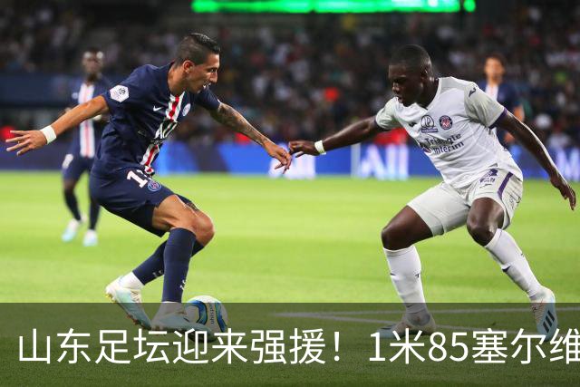 山东足坛迎来强援！1米85塞尔维亚前国脚正式加盟