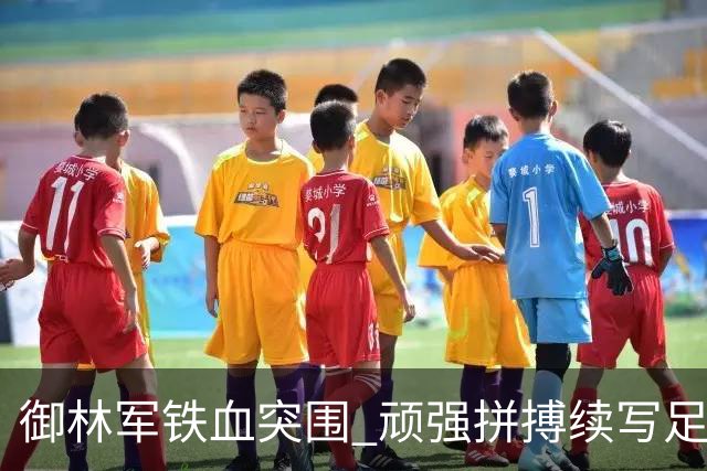 御林军铁血突围 顽强拼搏续写足协杯辉煌篇章