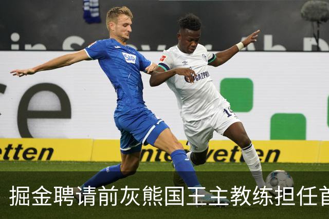 掘金聘请前灰熊国王主教练担任首席助教，他能提升球队的经验？