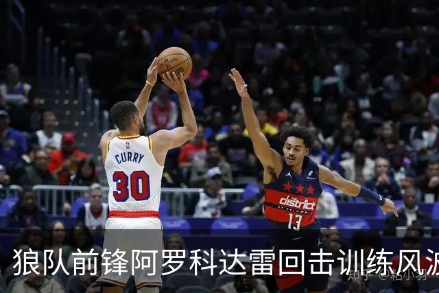 狼队前锋阿罗科达雷回击训练风波，称自己守职业标准