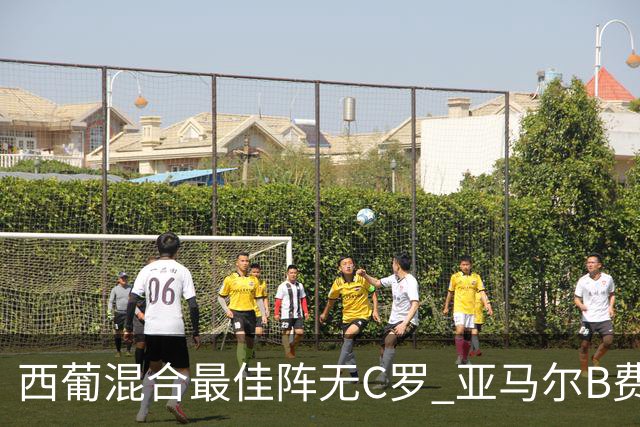西葡混合最佳阵无C罗 亚马尔B费领衔奥亚萨瓦尔在列
